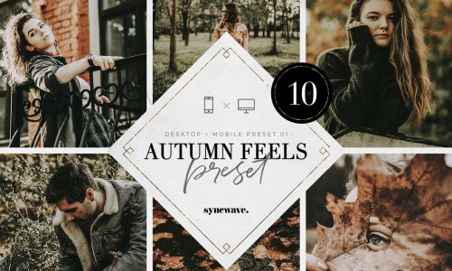 LR3969 SYNCWAVE Autumn Feels Presets Mobile Desktop 5251178 A