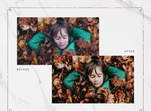 LR3969 SYNCWAVE Autumn Feels Presets Mobile Desktop 5251178 D