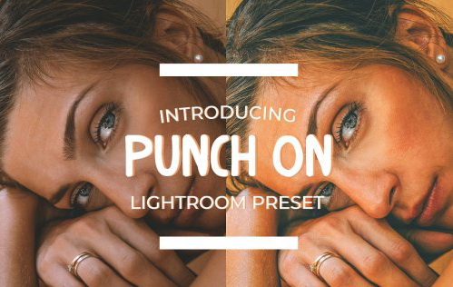 LR3985 CreativeMarket - Punch On Preset Mobile ACR 4896816 A