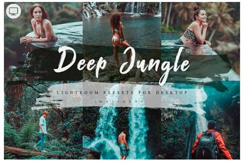 LR3991 12 Deep Jungle Presets Desktop ACR 4739063 A