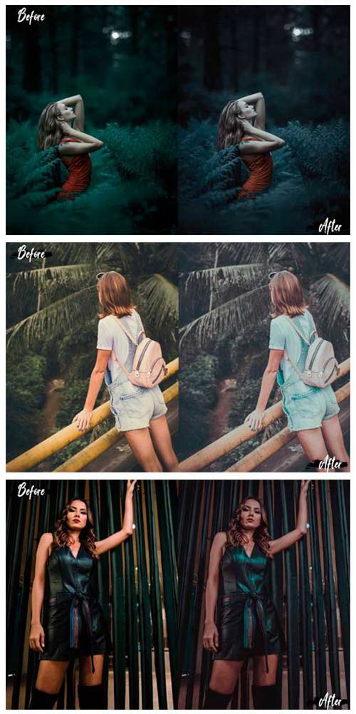 LR3991 12 Deep Jungle Presets Desktop ACR 4739063 B