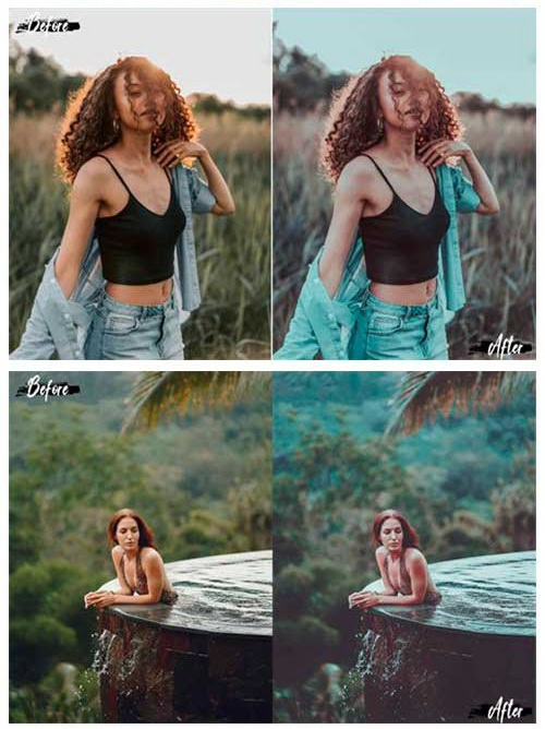 LR3991 12 Deep Jungle Presets Desktop ACR 4739063 C