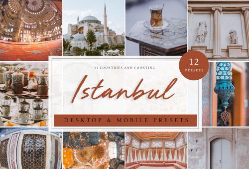 LR4009 51 Countries & Counting - Istanbul Presets Mobile Desktop AC 3912143 A