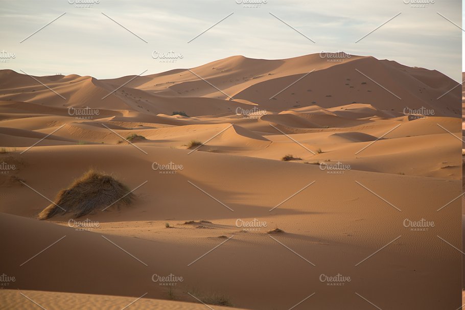 LR4013 51 Countries & Counting - Sahara Desert Mobile Desktop ACR 3918364 D