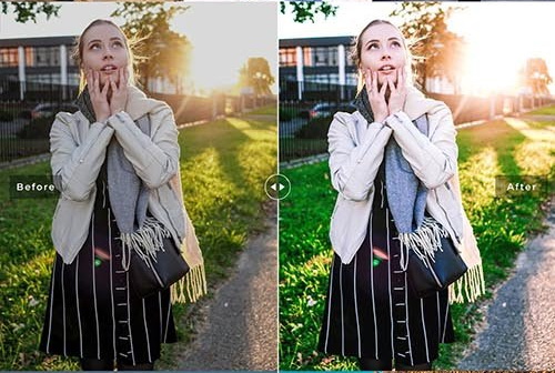 LR4033 Poland Pro Presets Mobile Desktop ACR ATN PSD 5333863