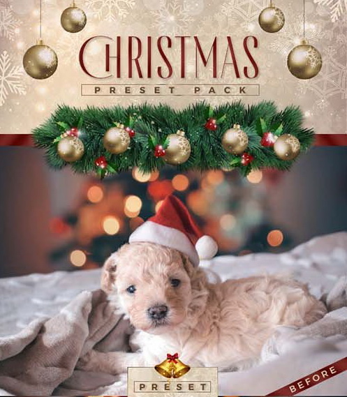 LR4062 Graphicriver - Christmas Pack Mobile Desktop 22934844 A