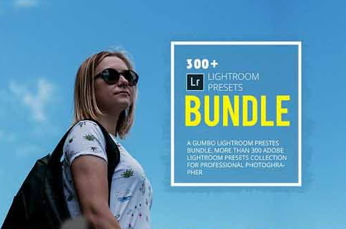 LR4064 300+ Lightroom Presets Bundle 1828169 A