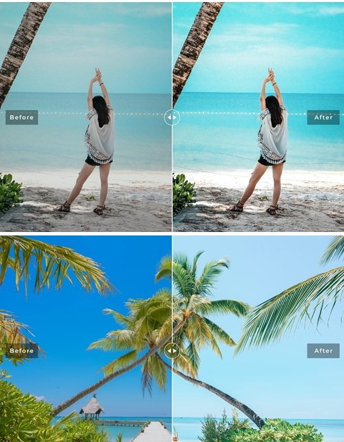 LR4082 Palm Beach Presets Mobile Desktop ACR ATN PSD C