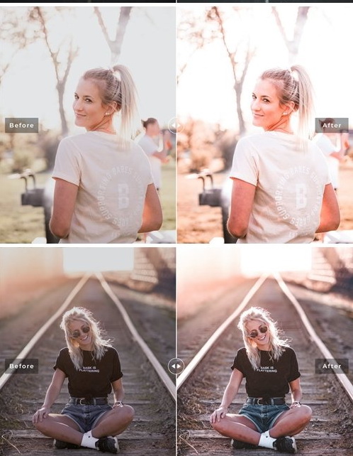 LR4089 Regina Presets Mobile Desktop ACR ATN PSD B