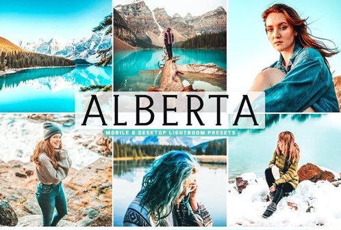 LR4090 Alberta Presets Mobile Desktop ACR ATN PSD A