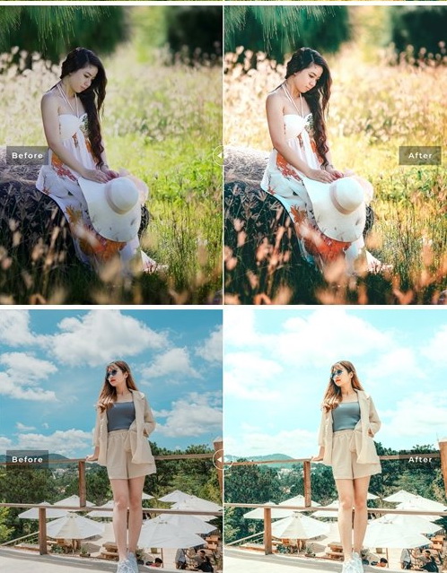 LR4097 Vietnam Presets Mobile Desktop ACR ATN PSD B