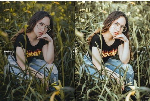 LR4101 Peru Presets Mobile Desktop ACR ATN PSD