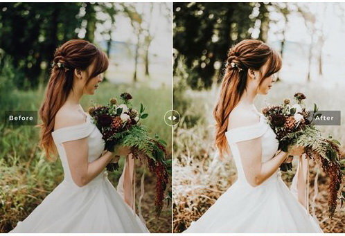 LR4120 Boho Wedding Presets Mobile Desktop ACR ATN PSD B