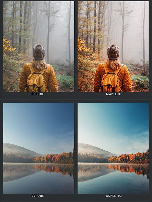 LR4188 SparkleStock - 20 Autumn Presets Mobile ACR LUTs B