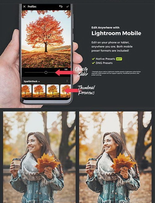 LR4188 SparkleStock - 20 Autumn Presets Mobile ACR LUTs C