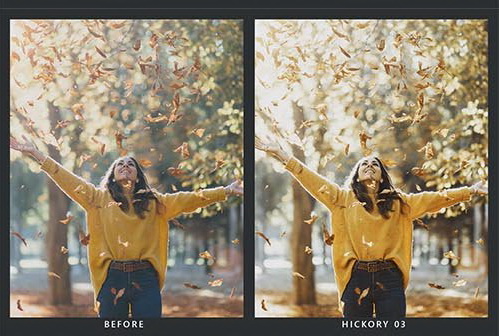LR4188 SparkleStock - 20 Autumn Presets Mobile ACR LUTs