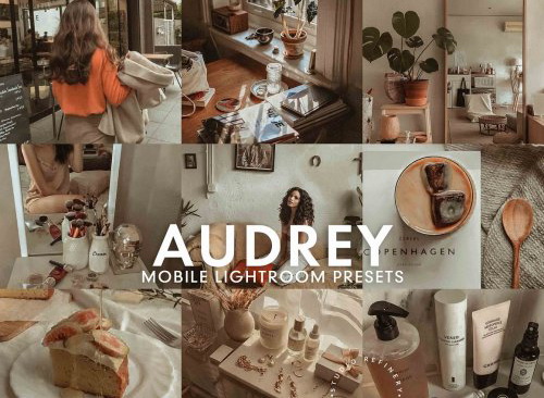 LR4201 S.Refinery - 5 AUDREY Presets Mobile 5275673 a