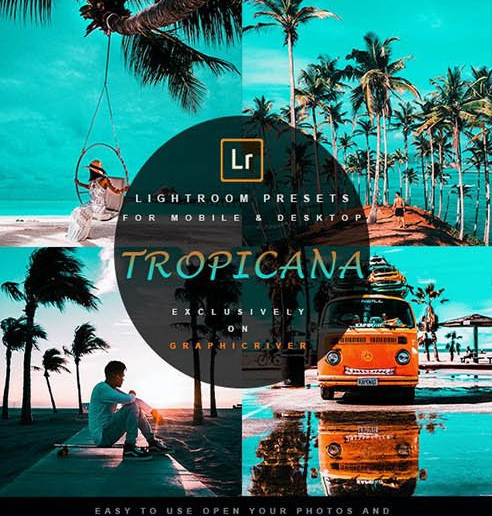 LR4205 Stardust - Tropicana Presets Mobile ACR 28205907 A