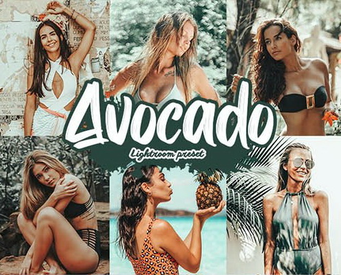 LR4206 Flyernerds - Avocado Presets Mobile ACR 28205370 A