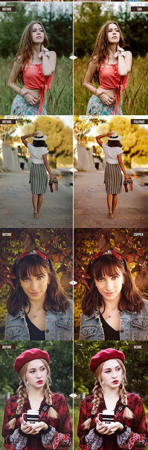 LR4210 Straightdesign - 10 Earthy V1 Presets Mobile Desktop ACR 28332406 B