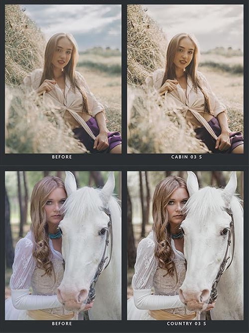 LR4223 SparkleStock - 20 Cottage Presets Mobile ACR LUTs 28661718 B
