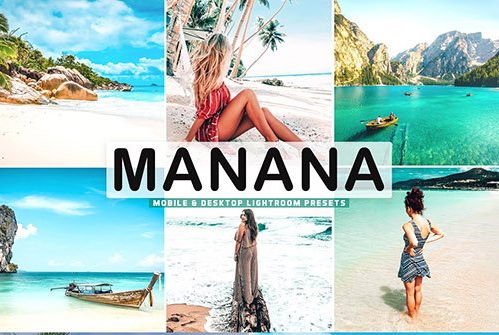 LR4230 Manana Pro Presets Mobile Desktop ACR ATN PSD 5424127 A