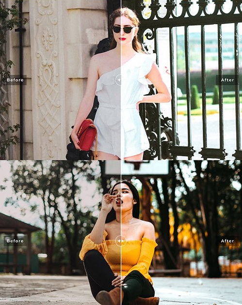 LR4231 Marigold Pro Presets Mobile Desktop ACR ATN PSD 5424130 B
