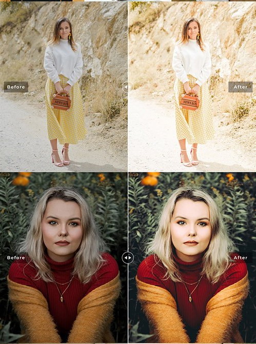 LR4231 Marigold Pro Presets Mobile Desktop ACR ATN PSD 5424130 C
