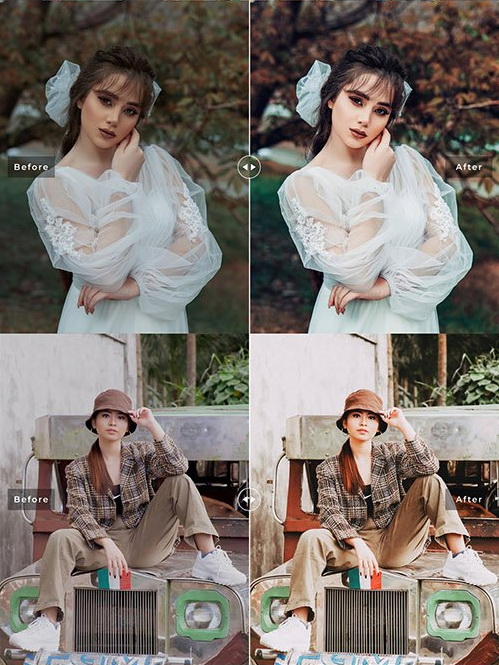 LR4232 Indie Film Pro Presets Mobile Desktop ACR ATN PSD 5424113 B