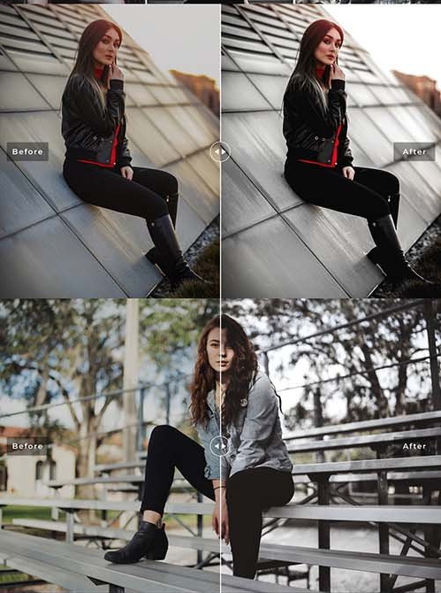LR4234 Charcoal Pro Presets Mobile Desktop ACR ATN PSD 5423667 C