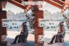 LR4236 DesignBundles - Magic Christmas Holiday Presets Mobile ACR C