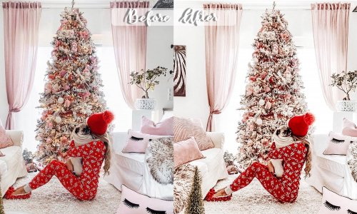 LR4238 DesignBundles - Cozy Christmas Home Presets Mobile ACR B