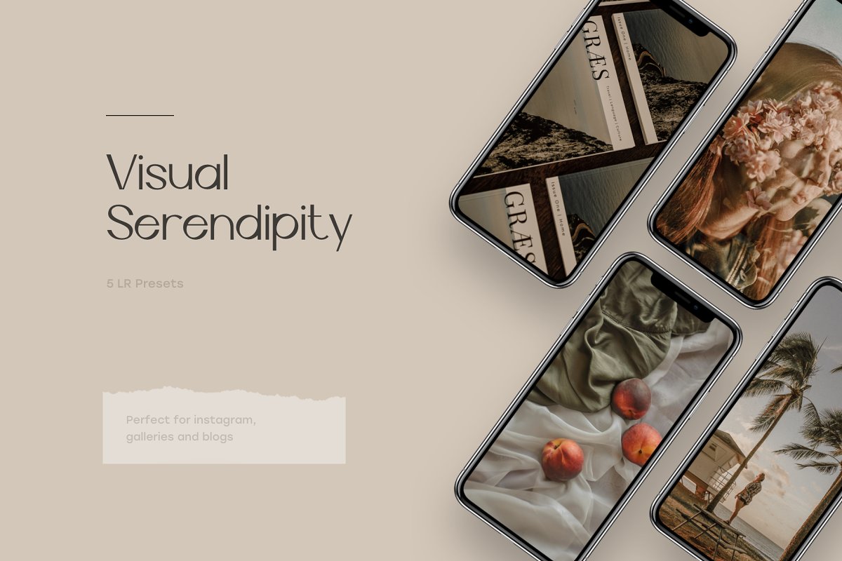 LR4287 BUKE - 5 Ivory Silk Presets Mobile Desktop ACR 5394422 B