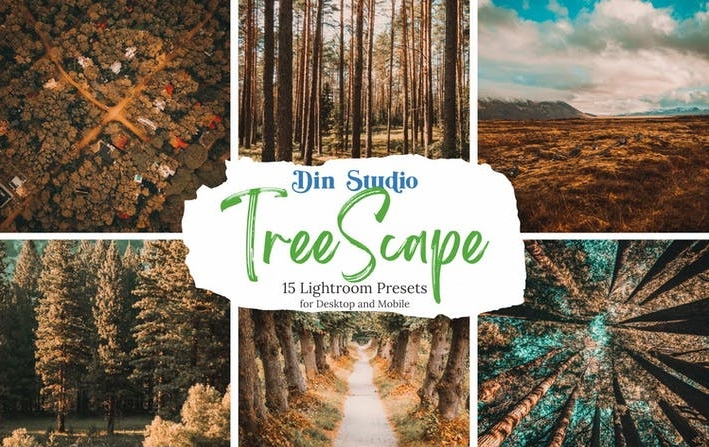 LR4300 Din Studio - Treescape Presets Mobile Desktop ACR A