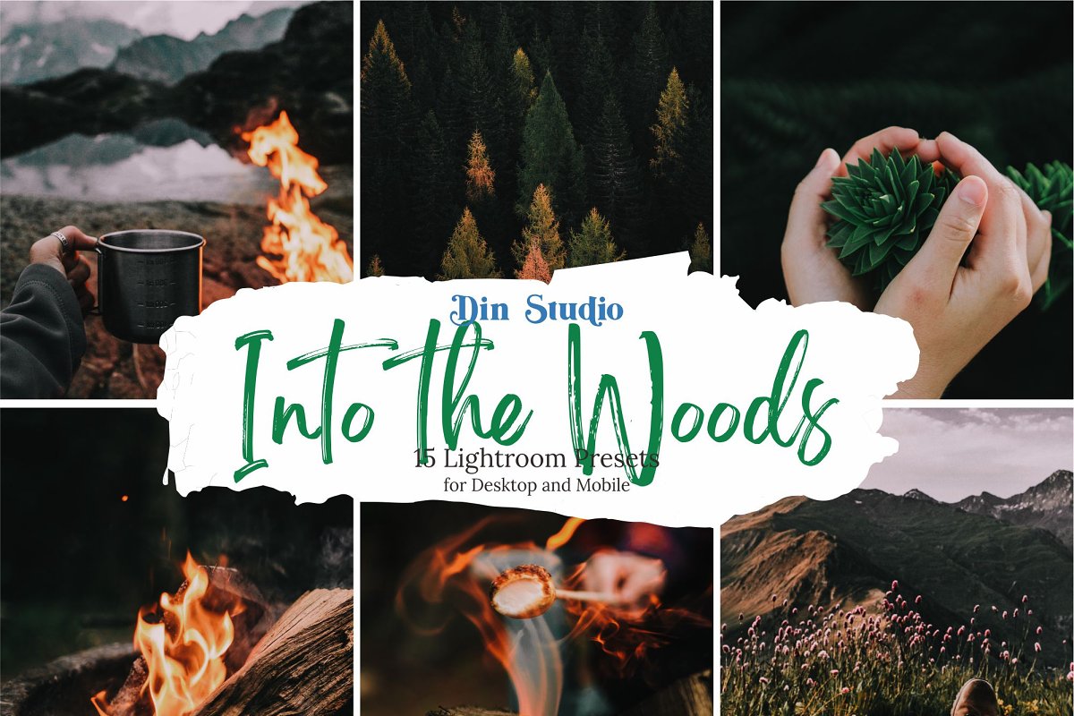 LR4333 Din Studio - Into The Woods Presets Mobile Desktop ACR 5481883 a