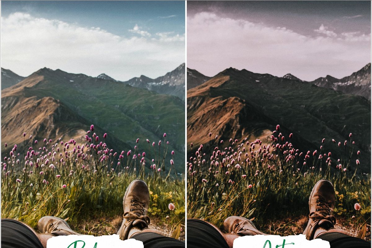 LR4333 Din Studio - Into The Woods Presets Mobile Desktop ACR 5481883 d