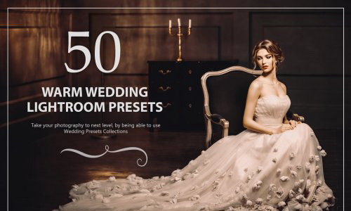 LR4358 CreativeMarket - 1000+ Wedding Presets 5441067 C
