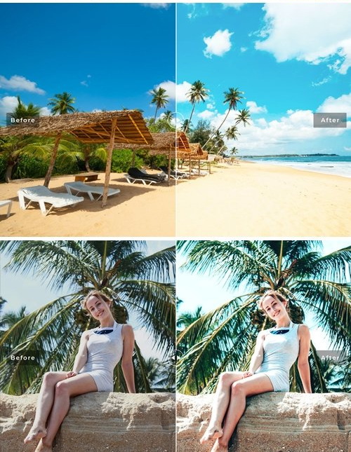 LR4382 Colombo Pro Presets Mobile Desktop ACR ATN PSD 5437512 b
