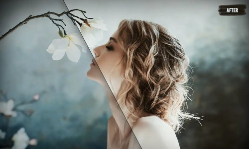 LR4402 50 Sweet Wedding Lightroom Presets B