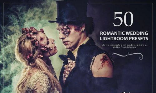 LR4407 50 Romantic Wedding Lightroom Presets A