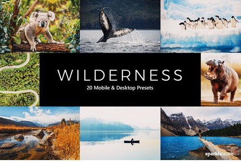 LR4485 SparkleStock - 20 Wilderness Presets Mobile ACR LUTs 5461646 a