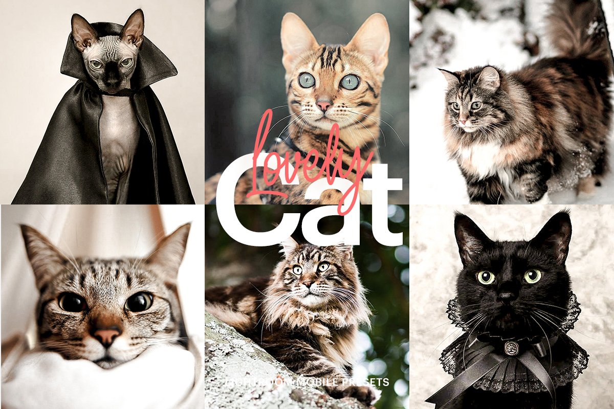 LR4492 Ariodsgn - Lovely Cat Theme Mobile 4973248 a